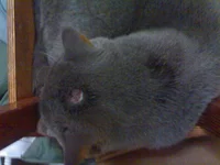 083.webp