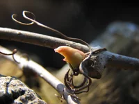 IMG_2552_изменение размера.webp