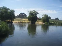 P7289881.webp