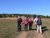 P1140775.webp