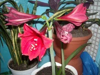 DSCN2727.JPG