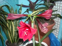 DSCN2728.JPG