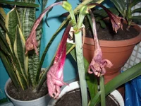 DSCN2746.JPG