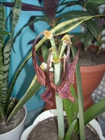 DSCN2795.webp