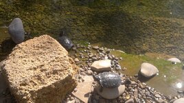 2012-07-28-008.jpg