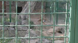 2012-07-28-011.jpg