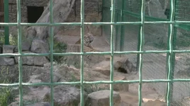 2012-07-28-012.jpg