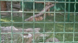 2012-07-28-013.jpg