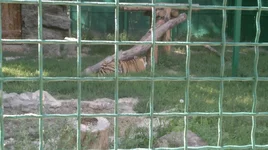 2012-07-28-013.webp