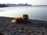 DSC01070.webp