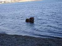 DSC01243.webp