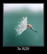 120.webp