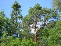 DSC03568.webp