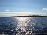 DSC03874.jpg