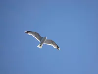 DSC03896.webp