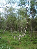 DSC04033.jpg