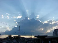 DSC06694_1.webp