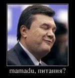 859300_mamadu-pitannya_demotivators_ru.jpg