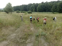 250420081863.webp