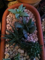 IMG_0543.jpg