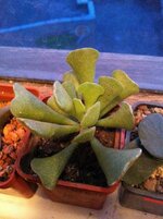 IMG_0564.jpg