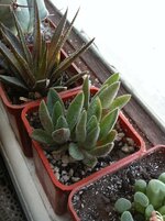 IMG_0583.jpg