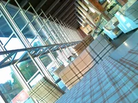 .webp