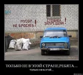 .webp