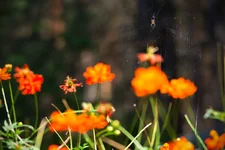DSC06713.webp