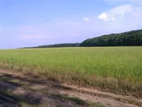 0306.webp