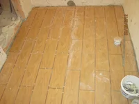 IMG_3982_новый размер.webp