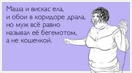lpBwJJOdQgE.webp