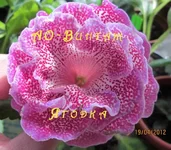 IMG_1812 к копи.jpg ар.webp