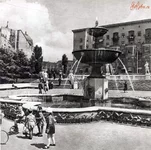 850050319.webp 850050319.webp