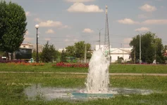 0111.webp