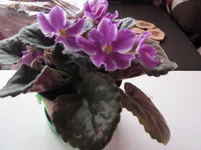 IMG_8226 [Разрешение рабочего стола].webp