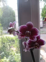 IMG_0902.webp