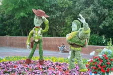 IMG_3052.webp