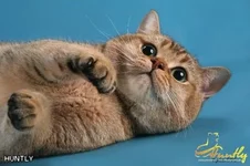 a35d67cce13e.webp
