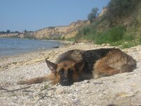 _IMG_1486.JPG