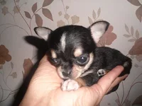 SAM_5360.webp