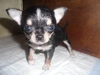 SAM_5328.webp