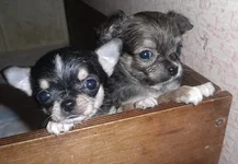 SAM_5354.webp