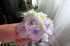 Pat Tracey_thumb.webp