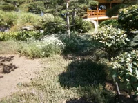 P8080470.webp