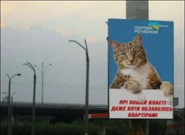 pic014.webp