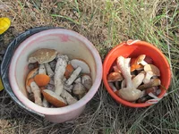 IMG_7176.jpg