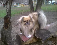  с сыночком.webp