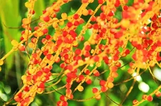 0_6926e_abc9b5fe_XL.webp