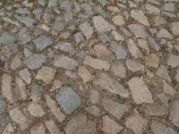 P7207493.webp